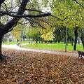 Autumn in Alessandria by Albino Neri