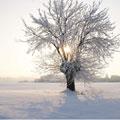 Da automobilisti nella neve. Che fare?