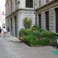 Un nuovo sistema di verde urbano in vicolo dell'erba