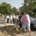 Presto 100 alberi piantati in citt