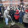 Una giornata per l'albero...