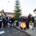 Ancora alberi di Natale per diffondere la luce