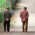 5 righe di giornata. Truffa pensioni senza computer