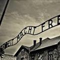5 righe di giornata: Obbligatorio! Ad Auschwitz