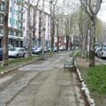 Viale Beltrami abbandonato!