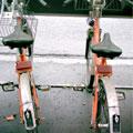 Biciclette pubbliche? S�, ma almeno pulite