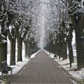 Fine anno: brutte nuove per l'Alessandria di domani